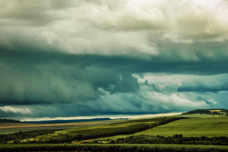 Temporal Distortions